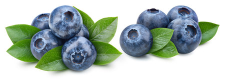 Blueberry with leaf isolated on white background. Blueberry clipping path. Blueberry High End Retouchingの写真素材