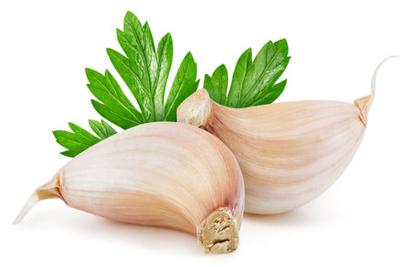 Garlic and cloves on white background. Garlic isolated on white background. Garlic with clipping path.の写真素材