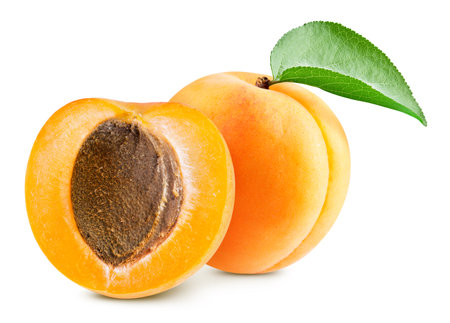 Apricot fruit with apricot half and leaves isolated on white background. Apricot clipping pathの写真素材