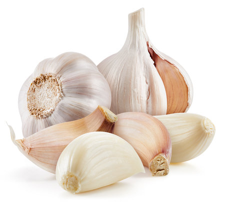 Fresh organic garlic. Garlic isolated on white background. Garlic Clipping path.の写真素材