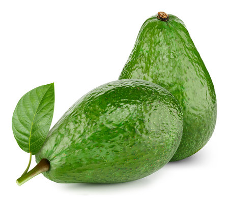 Ripe avocado with leaves. Organic avocado isolated on white background. Taste avocado with leaf. With clipping pathの写真素材