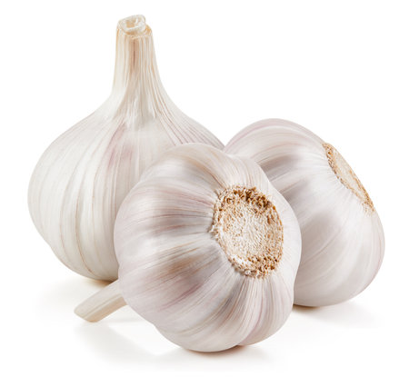 Fresh organic garlic. Garlic isolated on white background. Garlic Clipping path.の写真素材