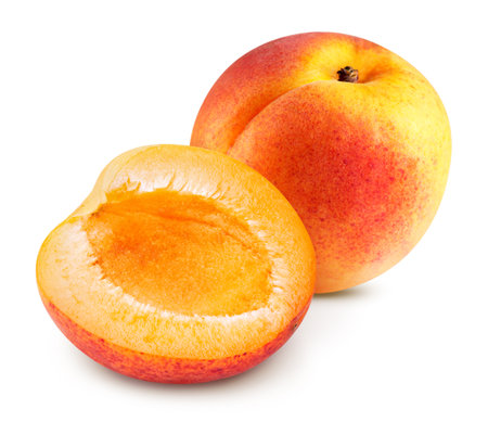 Whole and half apricot on white background. Apricot isolated on white background.の写真素材