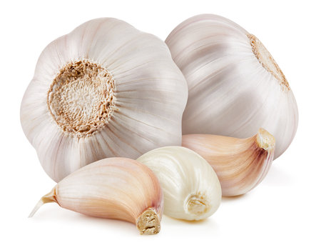 Fresh organic garlic. Garlic isolated on white background.の写真素材
