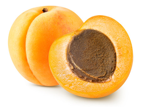 Isolated apricot. Fresh cut apricot fruits isolated on white backgroundの写真素材