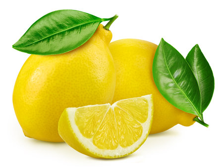 Composition with lemons isolated on white background. Lemon fruit with leaf isolate.の写真素材