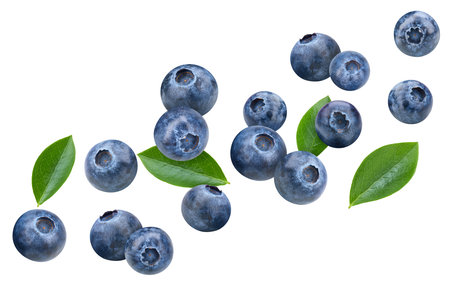 Fresh organic blueberry. Blueberry isolated on white background.の写真素材