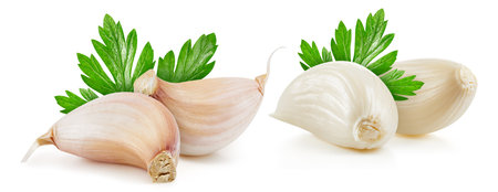 Fresh organic garlic. Garlic isolated on white background. Garlic Clipping path.の写真素材