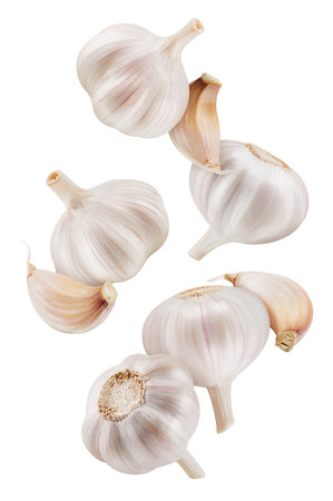 Garlic isolated on white background. Garlic and cloves on white background. Garlic with clipping pathの写真素材