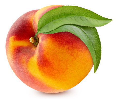 Peach isolated. Peach on white.Full depth of fieldの写真素材