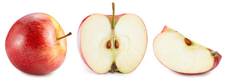 Red apple collection isolated on the white background. Apple half and slice. Fresh red apple set isolated on white backgroundの写真素材