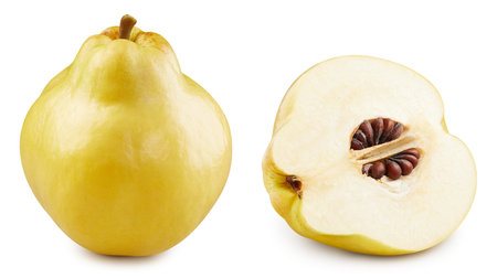 Quince collection. Fresh organic quince isolated on white background.の写真素材