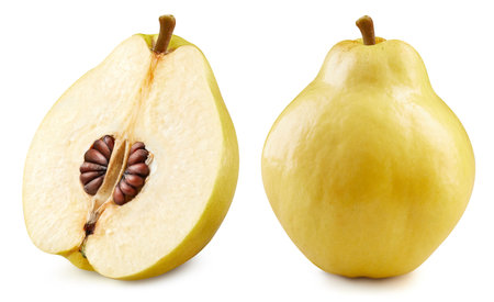Quince isolated on white background. Quince clipping path. Quince macro studio photoの写真素材
