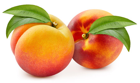 Fresh peach with leaves. Peach isolated on white background.の写真素材