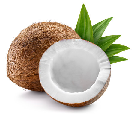 Coconut and leaves, isolated on white background. Full depth of field.の写真素材