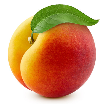 Peach and leaves, isolated on white background. Full depth of field.の写真素材