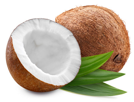 Coconute isolated on white background. Coconute and leaf macro studio photo.の写真素材