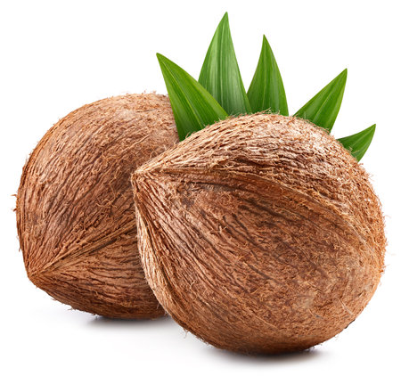 Coconut isolated on white background. Coconut with leaves.の写真素材