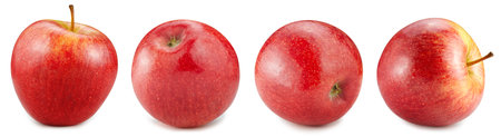 Red apple collection isolated on the white background. Apple half. Fresh red apple set isolated on white backgroundの写真素材