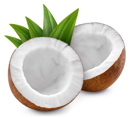 Coconut and green leaves isolated on white background.の写真素材