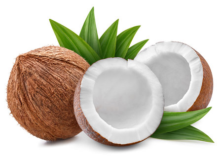 Coconut and green leaves isolated on white background. Clipping path coconut. Coconut macro studio photoの写真素材