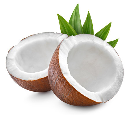 Coconute isolated on white background. Coconut and leaf macro studio photo.の写真素材