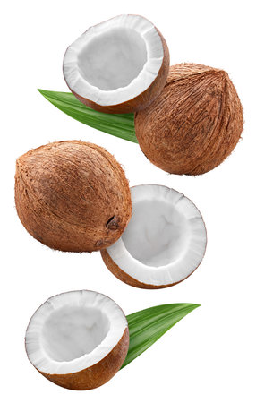 Flying Coconut and green leaves isolated on white background.の写真素材