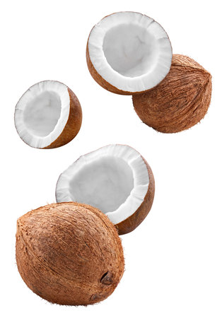 Flying coconut half isolated on white background. Coconut macro studio photo.の写真素材
