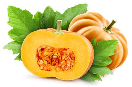 Pumpkin and leaves, isolated on white background. Full depth of field.の写真素材