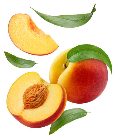 Flying peach isolated on the white background. Peach half and slice. Fresh fruits isolated on white backgroundの写真素材