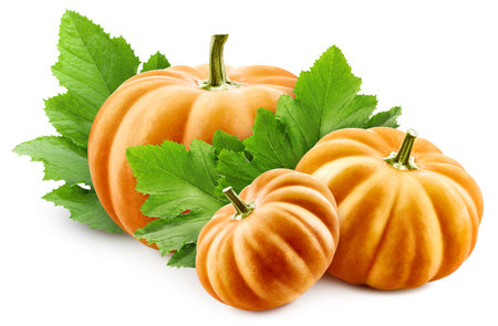 Pumpkin and leaves, isolated on white background. Full depth of field.の写真素材