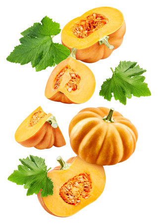 Flying Pumpkin isolated on the white background.の写真素材
