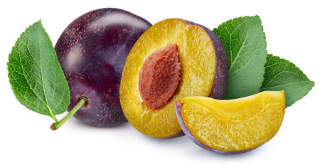 Isolated plum. Fresh organic plum with leavesの写真素材