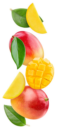 Flying mango with leaves. Organic mango isolated on white background. Taste mango with leaf.の写真素材