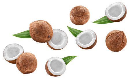 Flying coconute with green leaves isolated on white background.の写真素材