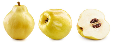 Quince apple collection. Quince isolated on white background. Quince macro. With clipping pathの写真素材