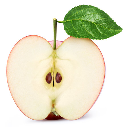 Isolated apple half with leaf. Red apple fruit on white background with clipping path. As design element.の写真素材