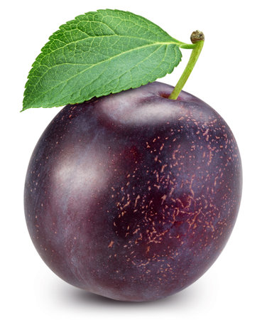 Plum. Plum isolated on white background. Plum macro.の写真素材