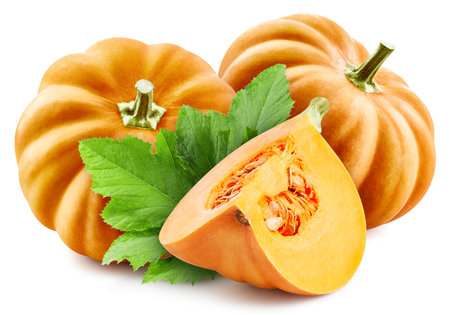 Ripe pumpkin with leaves. Organic pumpkin isolated on white background.の写真素材