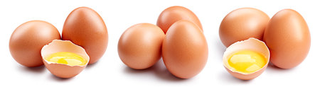 Chicken egg isolated . Raw brown chicken eggs on white backgroundの写真素材