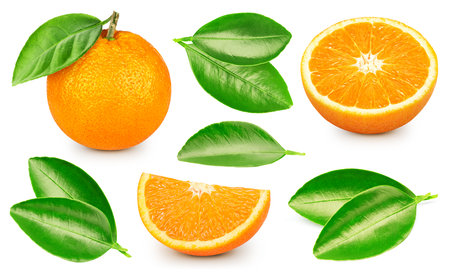 orange collection. Orange isolated on white background. orange set macro. With clipping pathの写真素材