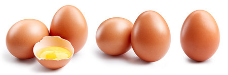 Isolated egg. Brown chicken egg on white backgroundの写真素材