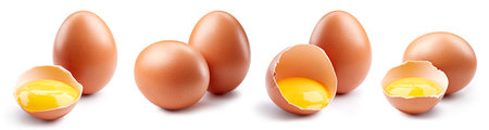 Isolated egg. Brown chicken egg on white background with clipping path. Egg collectionの写真素材