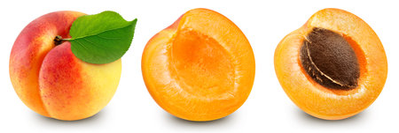 Apricot collection. Apricot set isolated on white background. Apricot macro. With clipping pathの写真素材