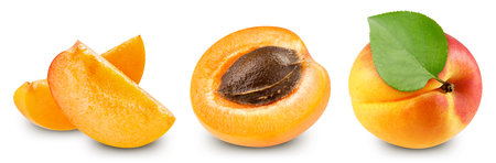 Apricot collection. Apricot set isolated on white background. Apricot macro. With clipping pathの写真素材