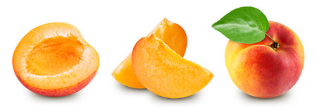 Apricot collection fruit with leaf isolate. Apricot set slice and half on white. Apricot clipping path.の写真素材