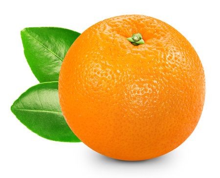 orange. Orange fruit isolated on white background. orange macro.の写真素材