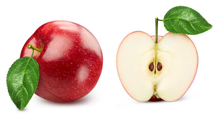Apple fruit with leaf isolate. Red apple whole and half on white.の写真素材
