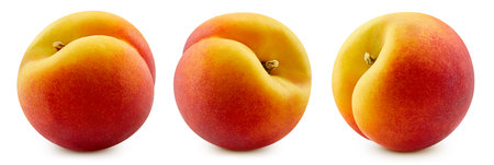 Peach isolated on white background. Taste peach.  Peach Collectionの写真素材