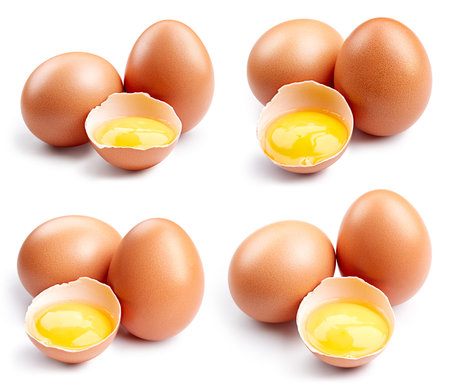 Brown egg isolated on white background. egg set. Egg collection.の写真素材
